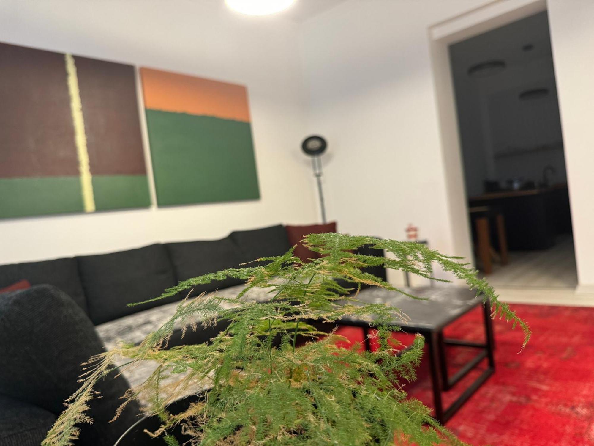 Savcibey Building Appartement Istanboel Buitenkant foto